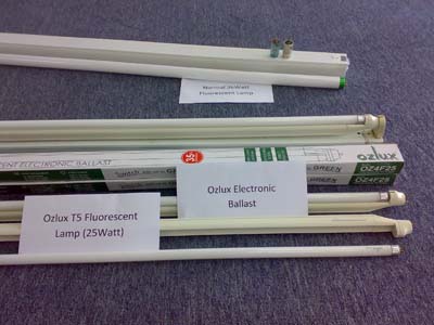 T5 Fluorescent Lamp